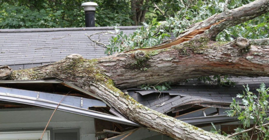 Un árbol cayó sobre la casa tras una tormenta en Quebec. Será retirado por Abattage Arbre Quebec.
