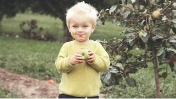 Niño en la ciudad de Quebec comiendo una manzana de un manzano plantado por Abattage Arbre Quebec.